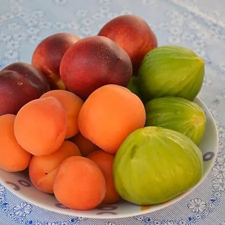 Gracija Maison d'hôtes