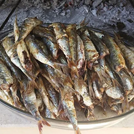 בית הארחה Gracija פובליה